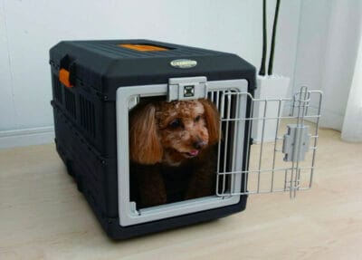 Transportbox