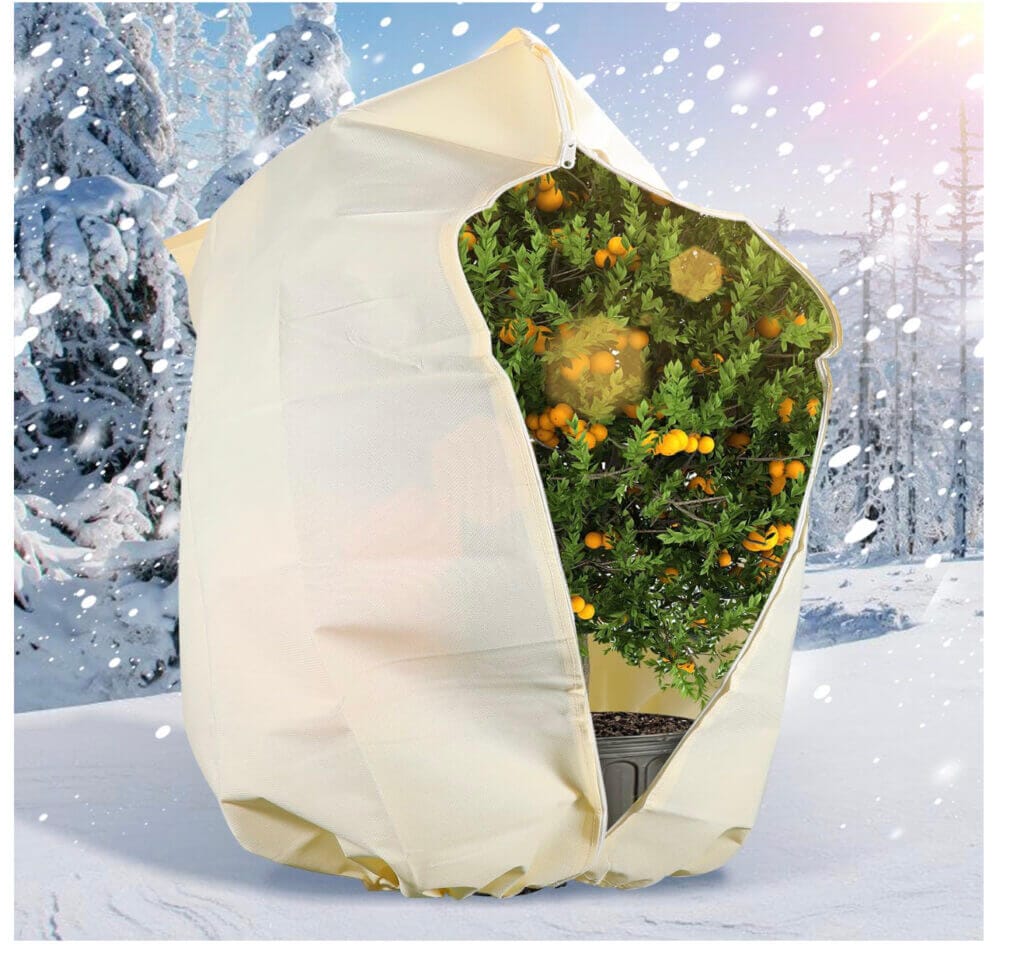 Sonnewelt Winterschutz für Pflanzen – 30% Rabatt