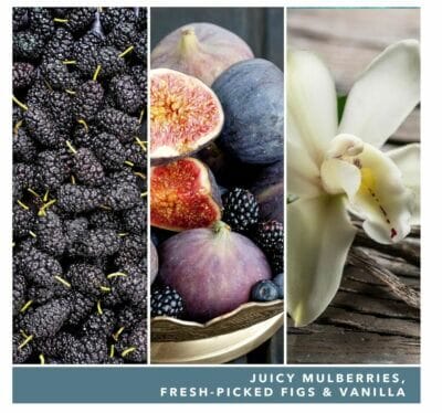 Yankee Candle: Große Duftkerze in Mulberry & Fig Delight, bis zu 150 Stunden Brenndauer. Gemütliche Atmosphäre.