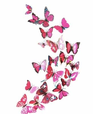 24 Schmetterlinge