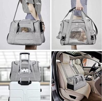 Motya Transportbox1