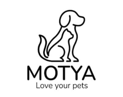 Motya Transportbox2
