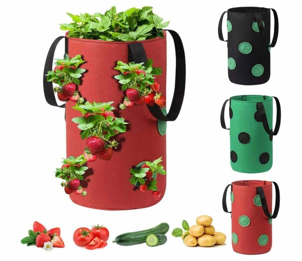 routinfly Erdbeeren Pflanzsack – 50% Rabatt