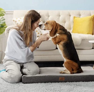 Bedsure Hundebett