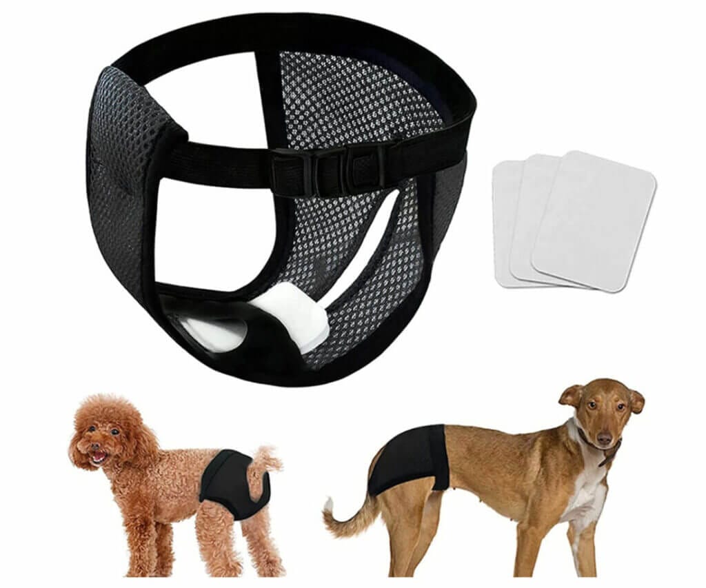 Läufigkeitshose für Hündinnen mit drei Hygienepads  – 70% Rabatt