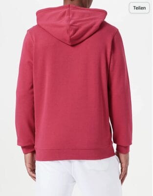 BOSS Herren Wetalk Hoodie1