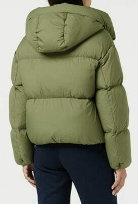 Hilfiger