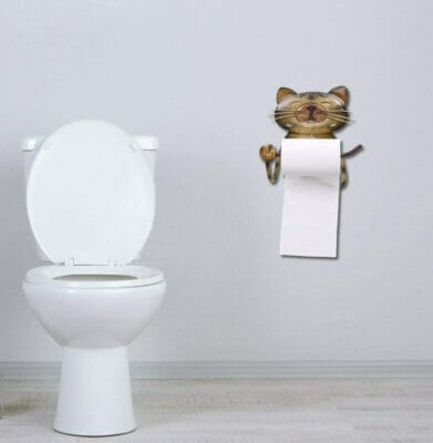 Tooarts Toilettenpapierhalter im Katzen-Design - 20% Rabatt 4 Papierhalter
