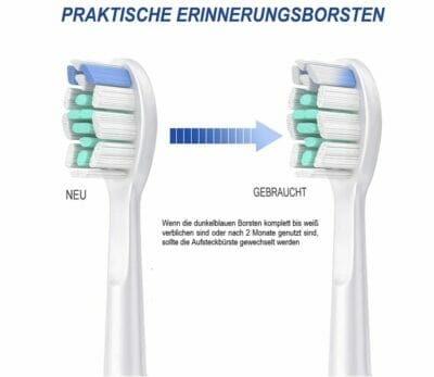 12er Ersatzbuersten1