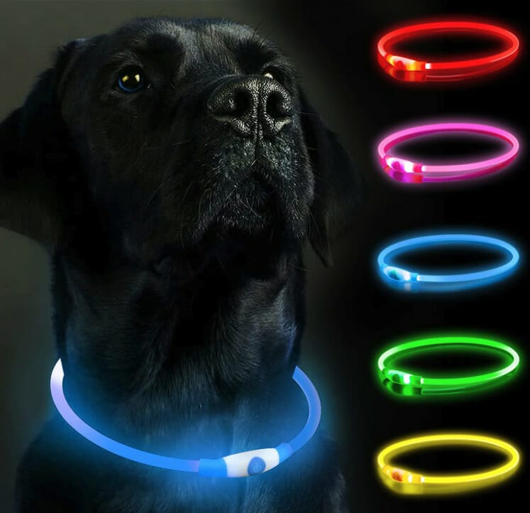 LED Hundehalsband – 20% Rabatt