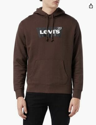 Levis Herren Standard Graphic Hoodie Sweatshirt