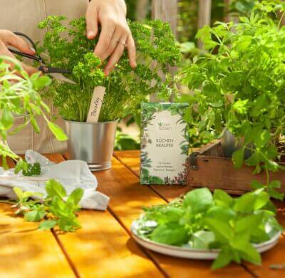 OwnGrown Kräuter Samen Set: 12 Sorten für Garten & Küche. Frische Aromen einfach selbst anbauen.