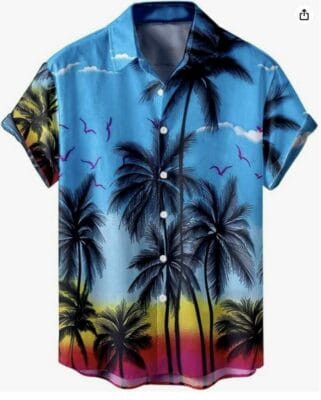 Stylisches Herren Hawaii Hemd: Lässig, leicht, perfekt für Sommerpartys und Fasching.