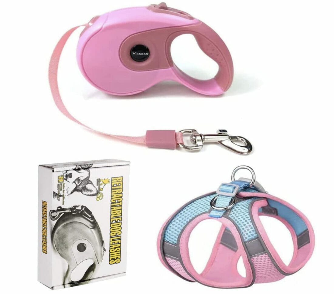 Winzasber Hundeleine und Hundegeschirr – 50% Rabatt