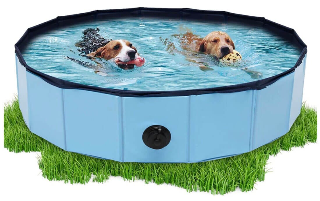 Faltbarer Hundepool von Daromigo – 30% Rabatt