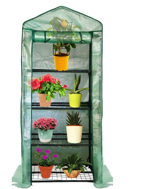 VINGO Foliengewächshaus Gewächshaus mit Gitternetzfolie und Fernster – 30% Rabatt