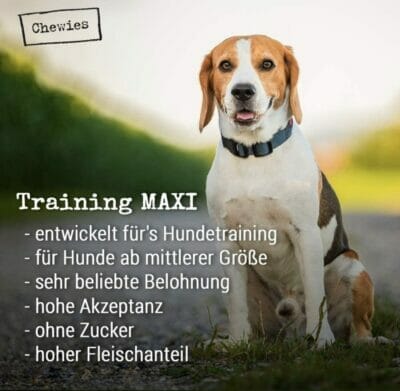 Chewies Hundeleckerli Training Maxi1