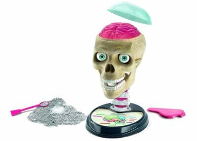 Galileo Lab – Verrueckte Anatomie1