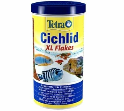 Tetra Cichlid XL