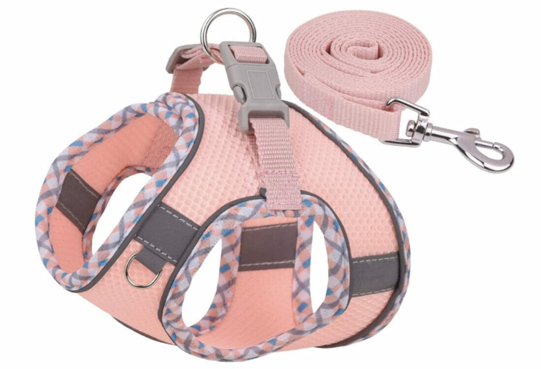 Geschirr für Hunde und Katzen – 60% Rabatt