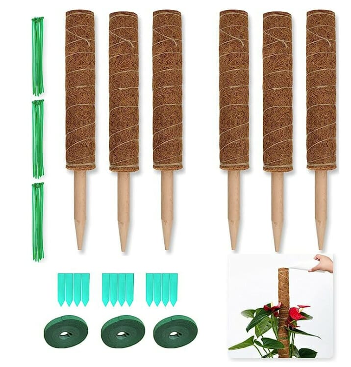 Izrielar 6 Stück 40cm Moosstab Pflanzstab – 40% Rabatt