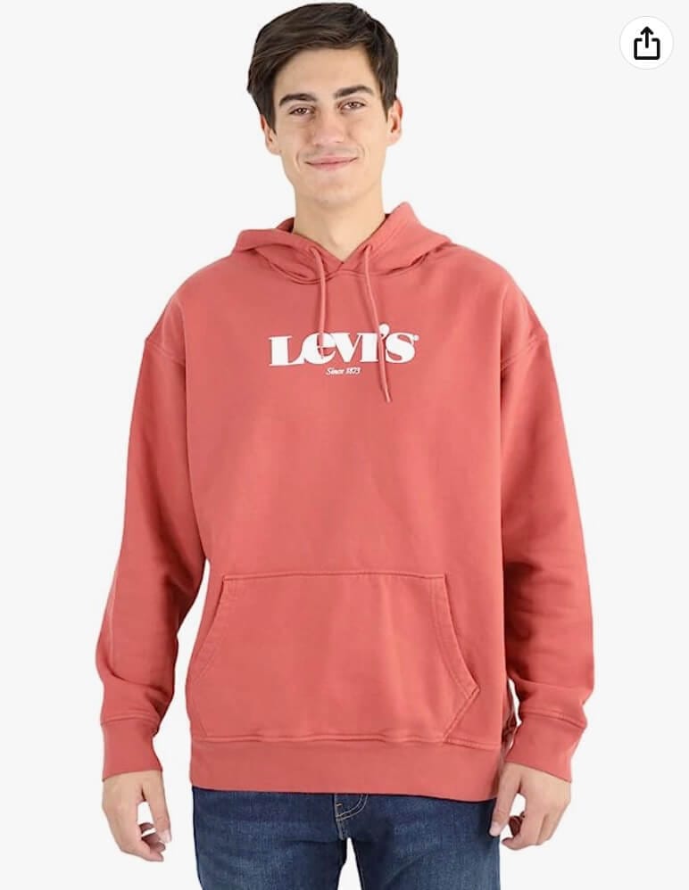 Levi’s Herren Relaxed Graphic Po Mv Ssnl Core Hoodie – 61% Rabatt