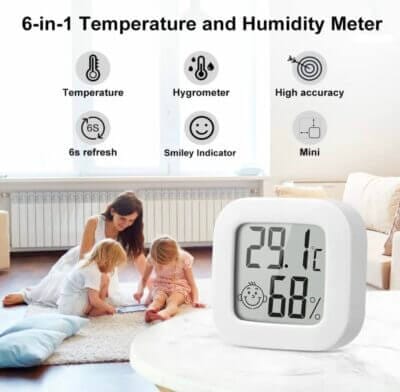Thermometer 1