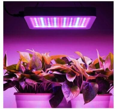 Lixada 1000W Pflanzenlampe: Vollspektrumlicht für Indoor-Pflanzen. Effizient und wasserdicht.