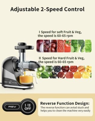 Entsafter Slow Juicer1