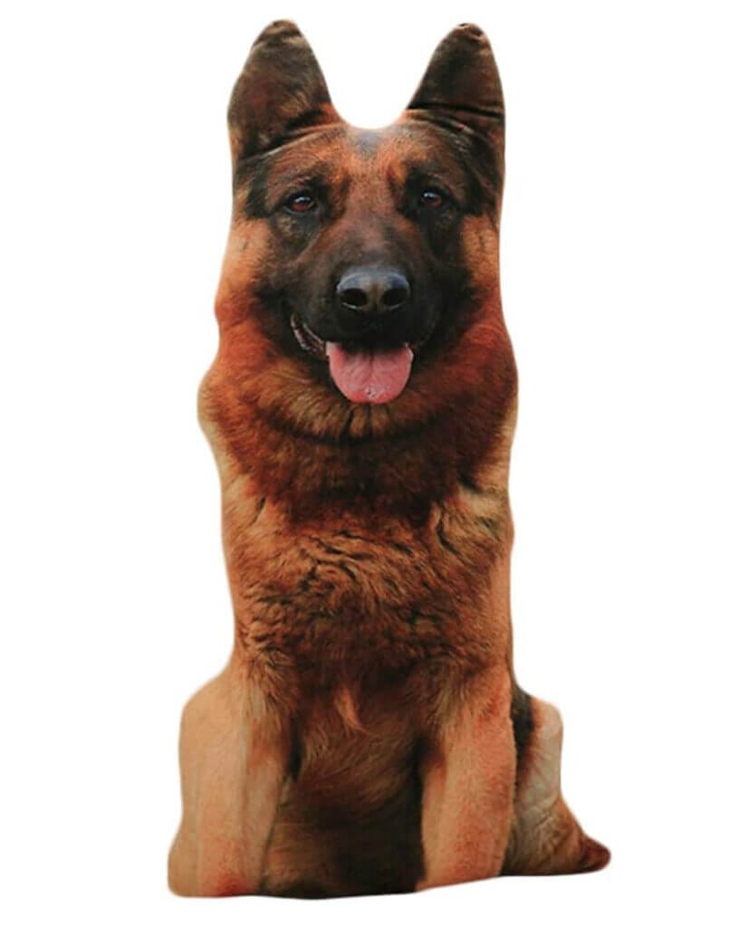 BGBJQ Kissen im Hunde-Design – 50% Rabatt
