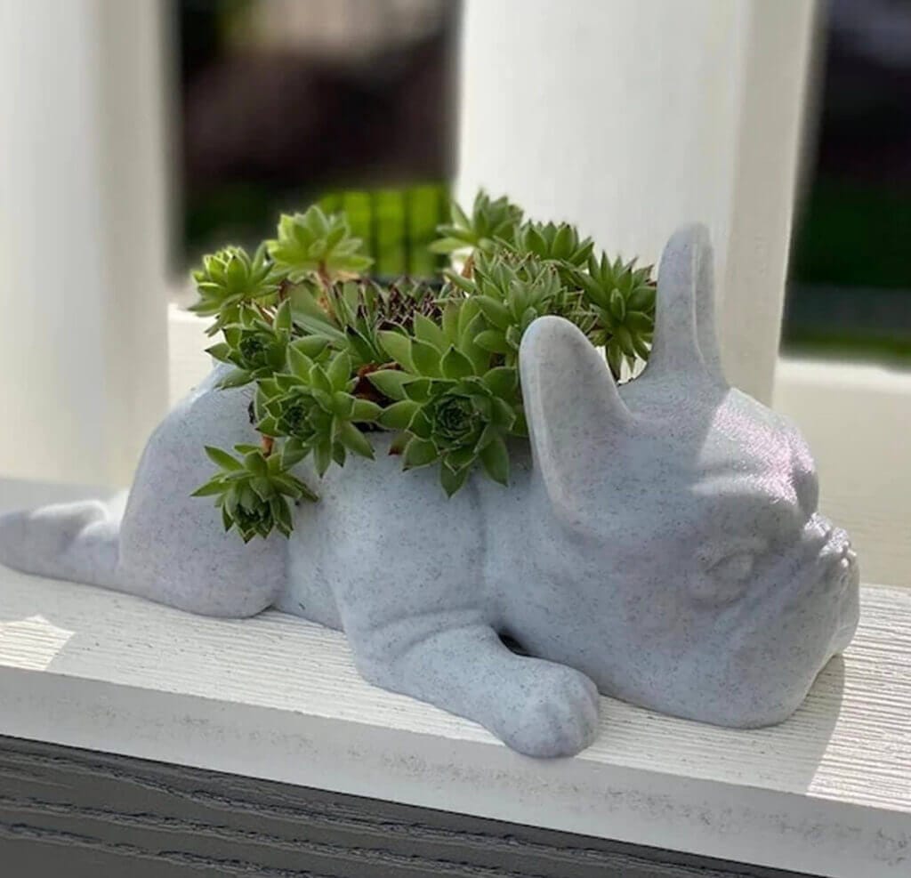 BGBJQ Sukkulenten Topf – 50% Rabatt