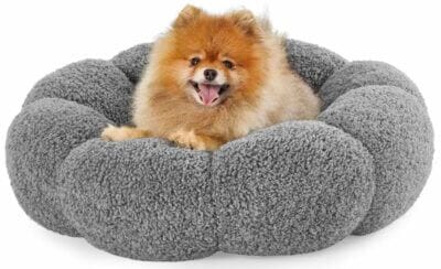 Hundebett