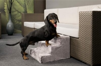 Karlie 60028 Easy Step Hundetreppe1