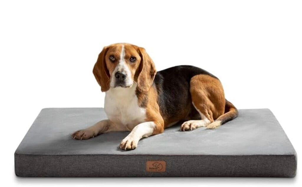 Für deinen Vierbeiner: Bedsure orthopädisches Hundebett – 35% Rabatt