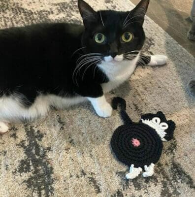 Igemy Katzen Geschenke: Stilvolle Glasuntersetzer mit niedlichem Katzenmotiv. Perfekt für Katzenliebhaber.