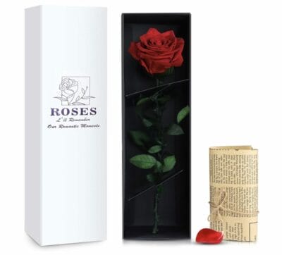PARAROSE Rote Infinity Rosen: Ewige Blumen in Geschenkbox, 3+ Jahre haltbar, perfekt für jeden Anlass.