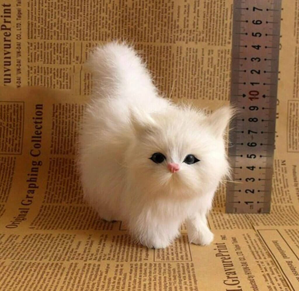 Katzen Kuscheltier – 50% Rabatt