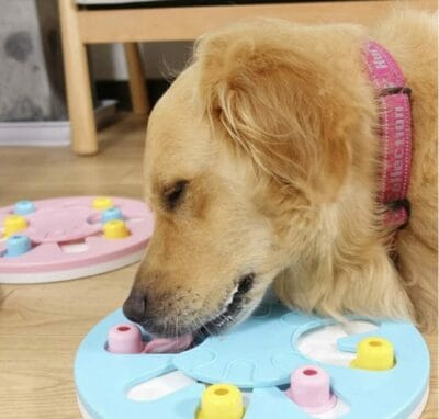 Ein Spielzeug für Hunde - fördert geistige Stimulation und Gesundheit.