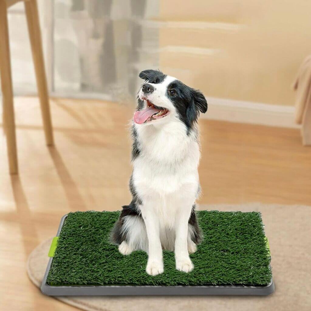 Indoor Hundetoilette – 53% Rabatt