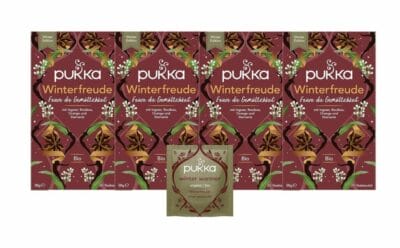 Genieße besinnliche Momente: Pukka Bio-Tee "Winterfreude" - Ingwer, Zimt, Nelken, Orange, Limited Edition.