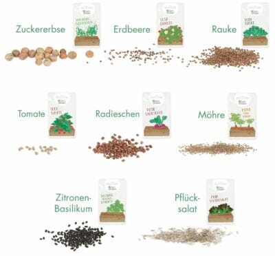 Entdecke das Saatgut Anzuchtset von OwnGrown – starte deinen Mini-Garten mit Gemüse, Erdbeeren und Kräutern.