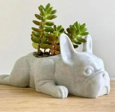Routinfly Blumentopf in Form einer französischen Bulldogge