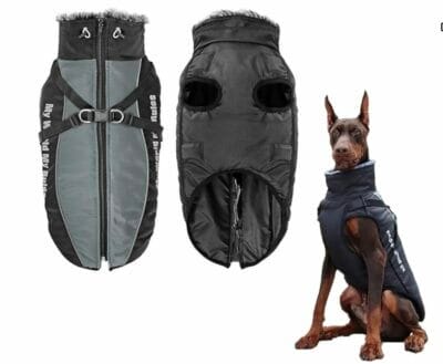 Hundegeschirr