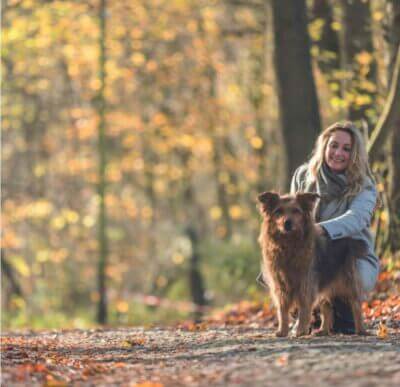 Hund mit Frauchen im Wald mit Schleppleine