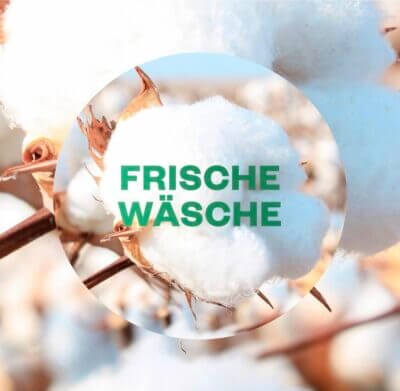 Genieße den Duft frischer Wäsche mit Air Wick Active Fresh – aerosolfrei, langanhaltend, umweltfreundlich.