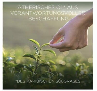 Botanica by Air Wick Duftkerze: Süßgras & Sandelholz. Natürlicher Duft für eine entspannte Atmosphäre.