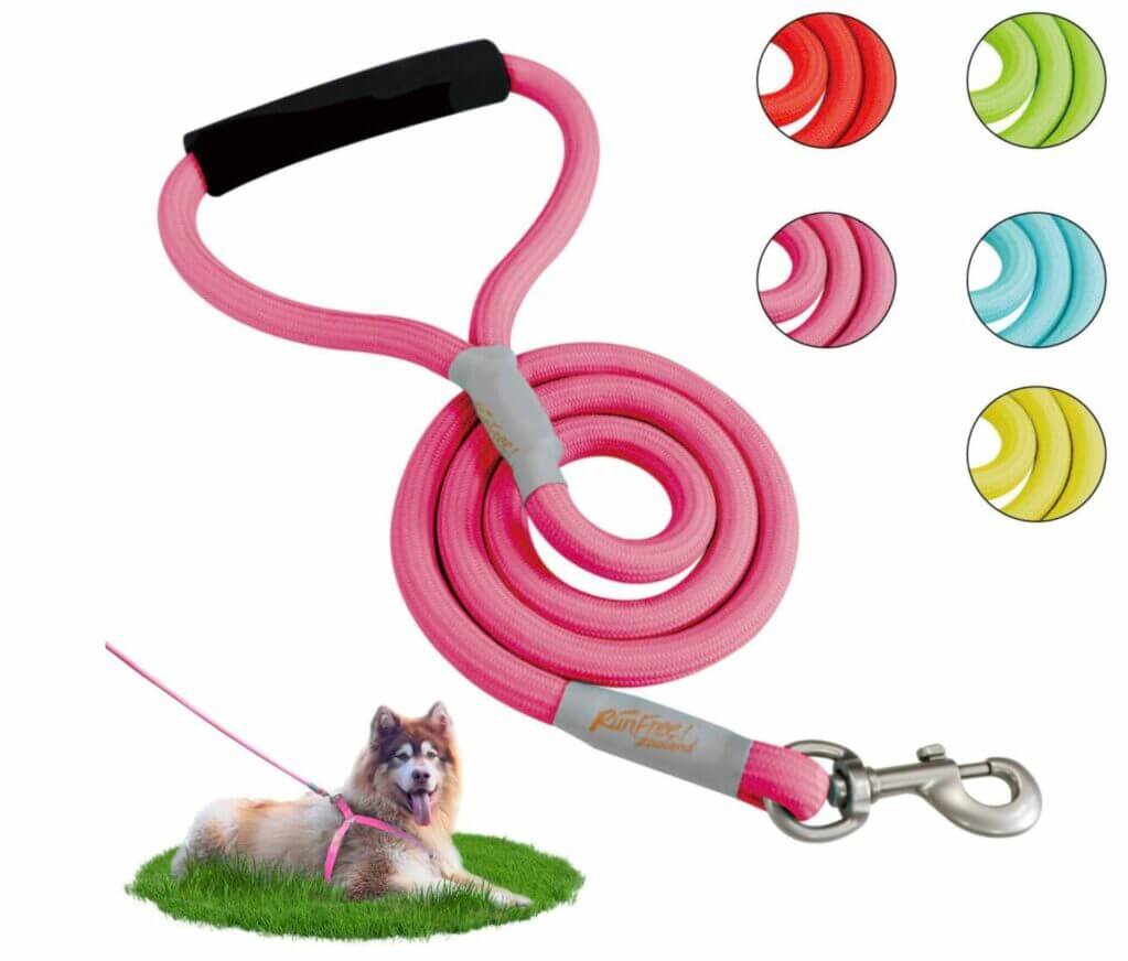 ZOOLAND Hundeleine – 50% Rabatt