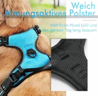 Entdecke das Hundegeschirr für kleine Hunde - einfach anzulegen, verstellbar und sicher. Ideal für Spaziergänge.