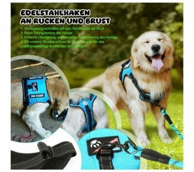 Sicherheit und Komfort: Reflektierendes Hundegeschirr mit Leine Set.