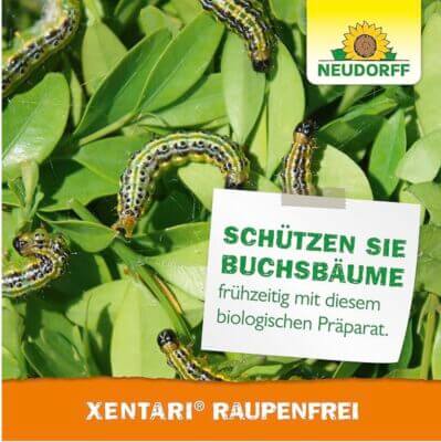 Neudorff Xentari RaupenFrei schützt deinen Buchsbaum